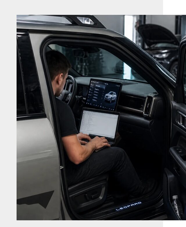 Русификация BYD Leopard 3 в Первоуральске по цене от 20483 р. | ФастМобиль-Прв